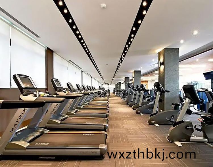 健身(shen)器(qi)材(cai)領域