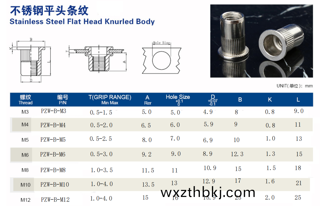 平頭(tou)柱(zhu)紋(wen)通孔拉鉚螺(luo)母(mu)