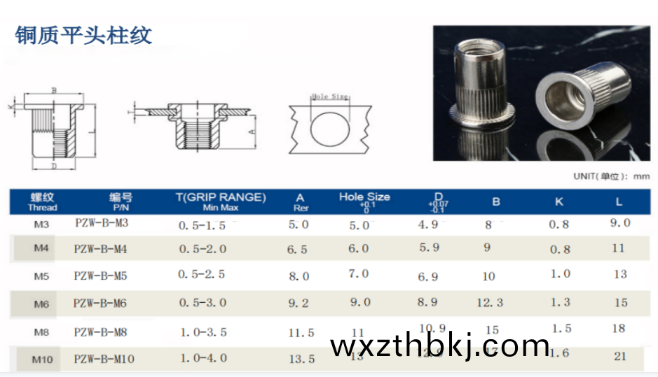 平頭(tou)柱紋通(tong)孔鉚螺母