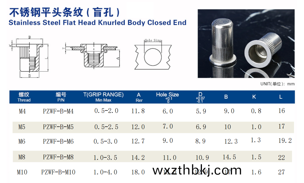 平頭(tou)柱(zhu)紋(wen)盲(mang)孔(kong)鉚螺(luo)母