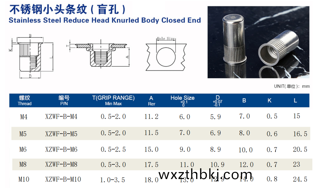 柱(zhu)紋盲(mang)孔拉(la)鉚(liu)螺(luo)母