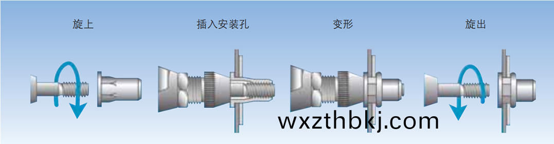 圓頭豎(shu)條(tiao)紋通孔(kong)拉鉚螺母