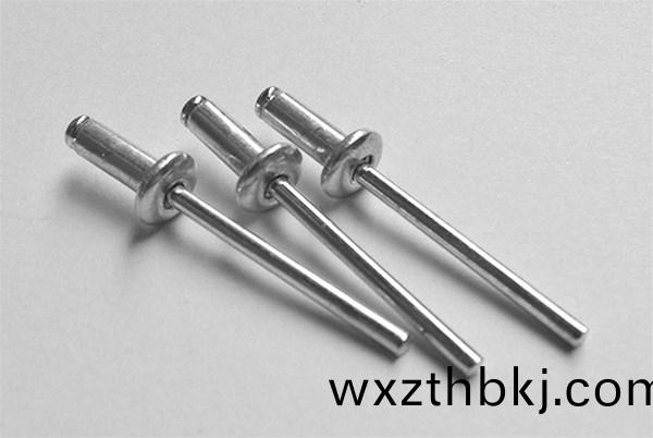 常(chang)見(jian)的不鏽(xiu)鋼拉(la)釘(ding)優(you)勢(shi)有(you)哪些？