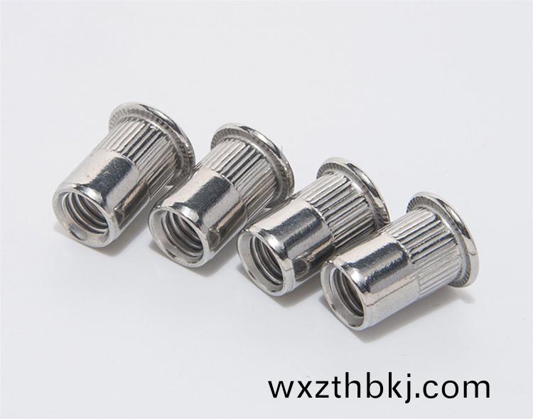 平頭(tou)柱(zhu)紋(wen)通(tong)孔(kong)鉚螺(luo)母(鋁(lv))