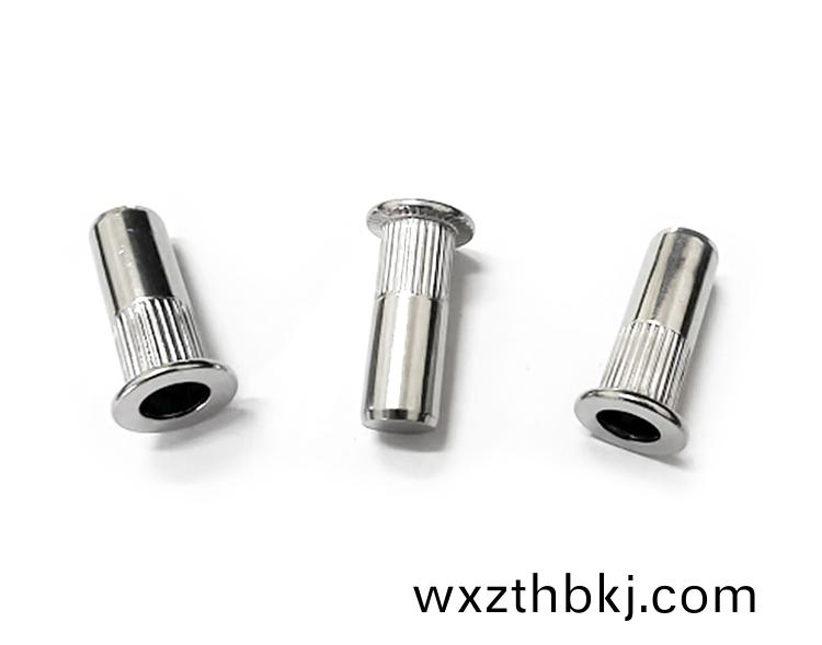 平頭(tou)柱紋(wen)盲(mang)孔鉚螺(luo)母(mu)(不鏽鋼)