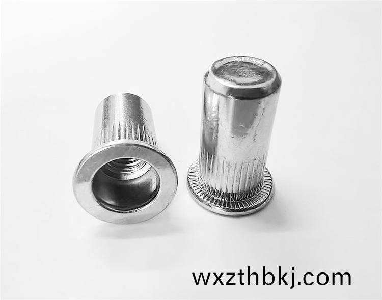 平頭柱紋(wen)盲(mang)孔(kong)鉚螺母