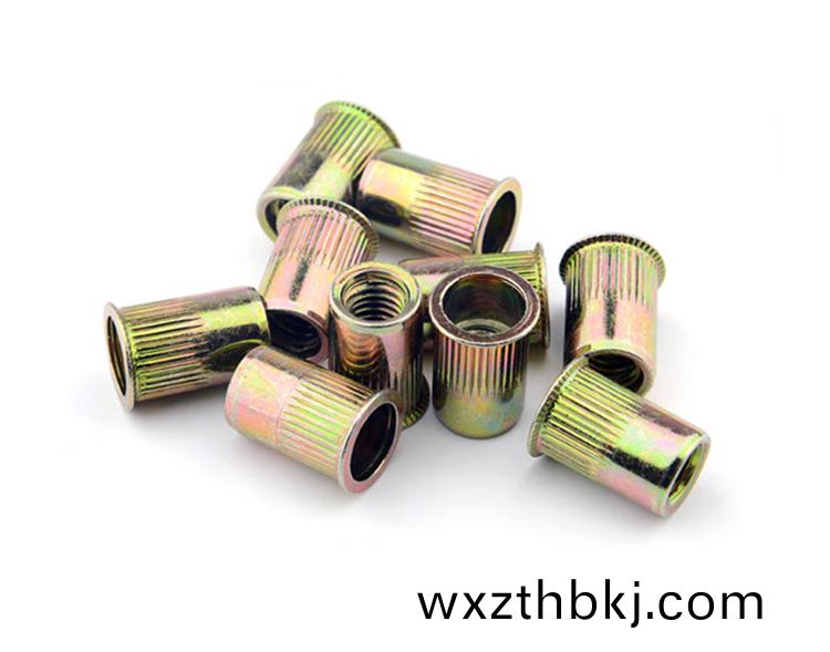 小沉(chen)頭(tou)柱紋通(tong)孔(kong)拉鉚螺(luo)母