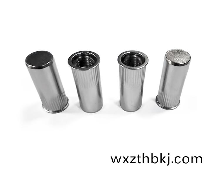 柱(zhu)紋盲(mang)孔拉(la)鉚螺(luo)母(mu)(不(bu)鏽(xiu)鋼(gang))