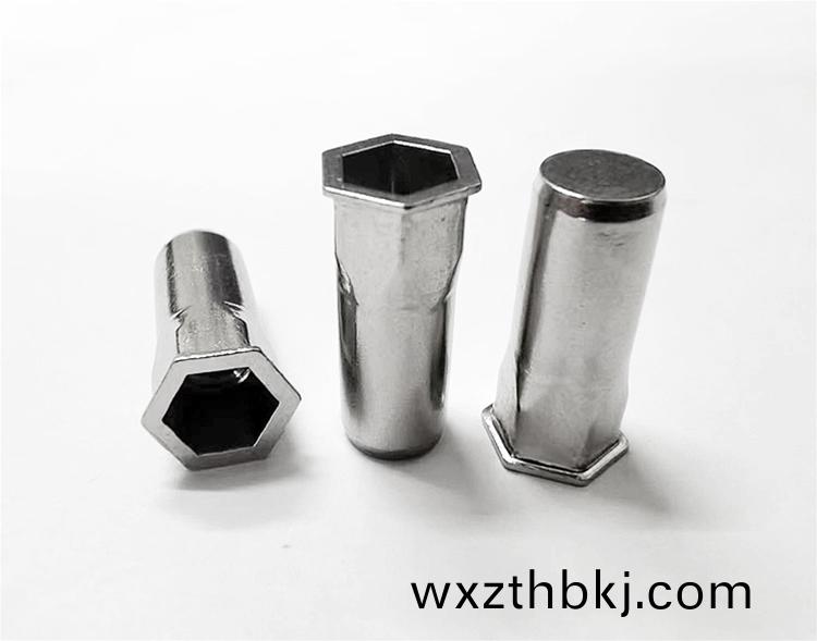 沉(chen)頭(tou)內(nei)外六角(jiao)盲孔(kong)鉚螺(luo)母(不(bu)鏽鋼(gang))