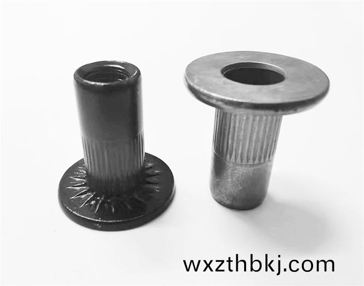 平頭柱(zhu)紋(wen)大戼鉚(liu)螺母(mu)