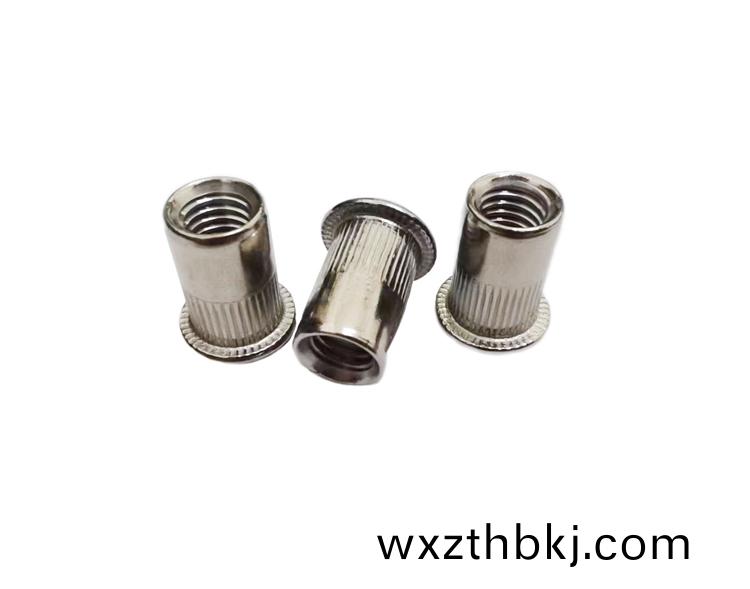 平(ping)頭柱(zhu)紋通(tong)孔(kong)鉚(liu)螺母(不(bu)鏽(xiu)鋼(gang))